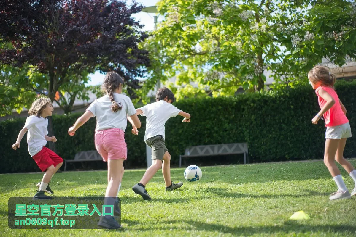 星空官方登录入口账号安全与验证说明封面